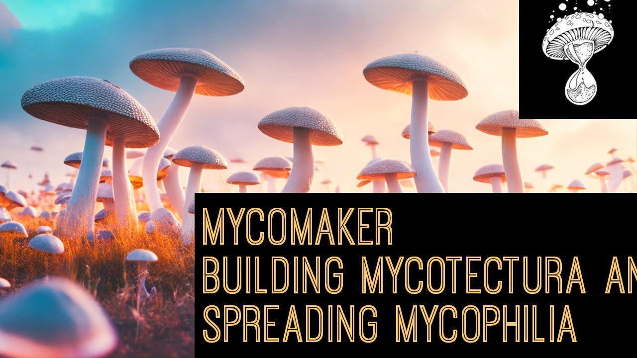 Mycomaker || Mycotectura & Spreading Mycophilia in Ecuador || Nelson Due&ntilde;as