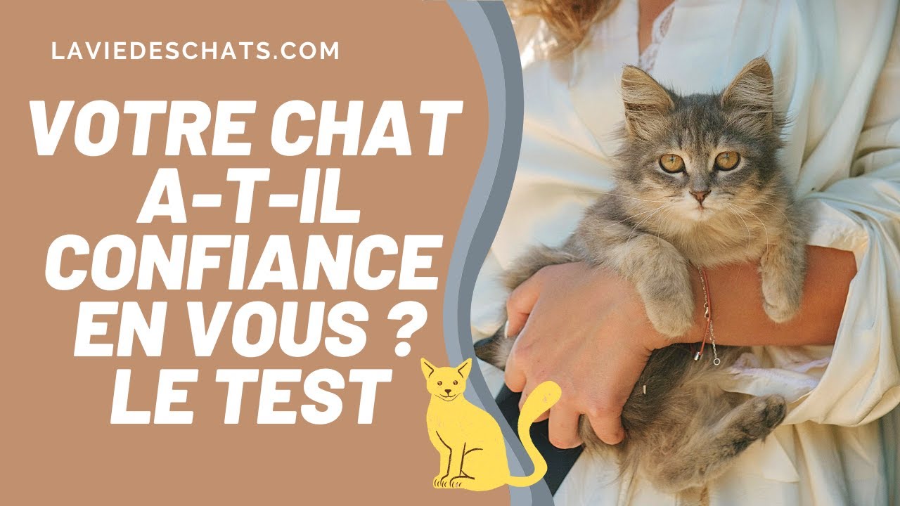 TEST DE CONFIANCE AVEC VOTRE CHAT 👌