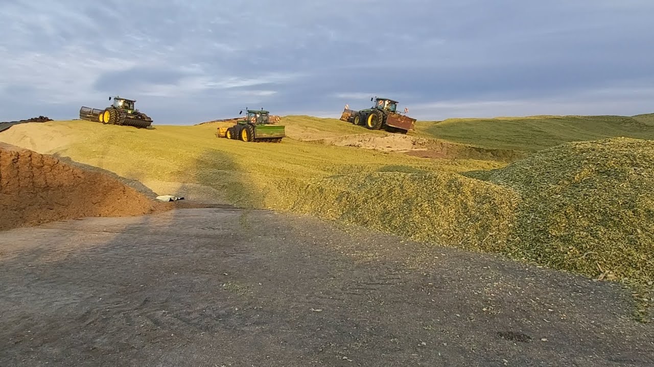 Maisernte 2023: John Deere - Power auf dem Silo - JD. 8330, JD. 8310, JD. 7830 - Lu. KaPe.