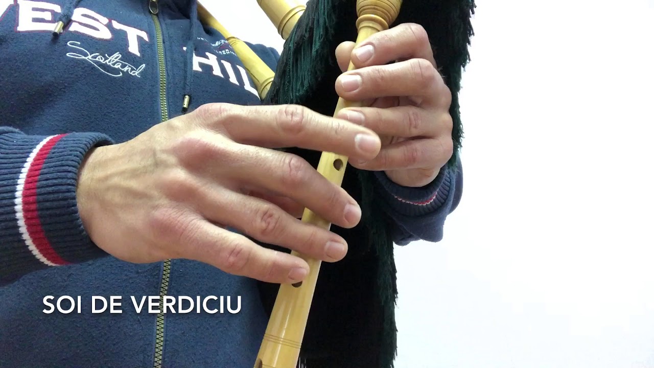 Soi de Verdiciu