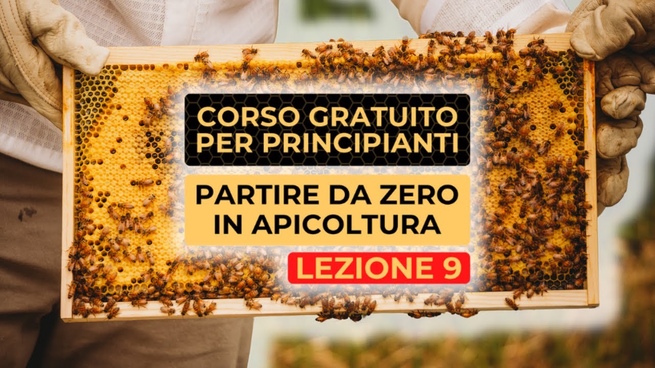 Partire da Zero: i Consigli Pratici - Corso Gratuito per Principianti