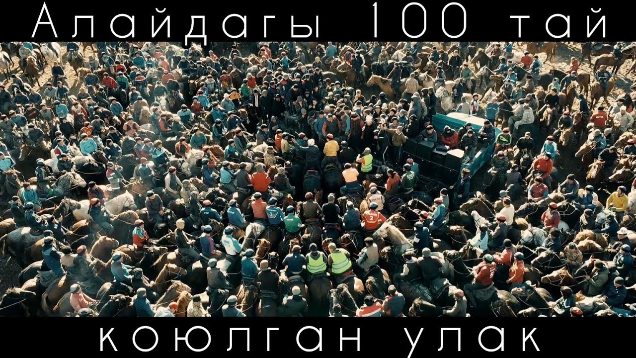 Алайдагы 100 тай коюлган аламан улак . 24-11-24 биринчи бөлүм.