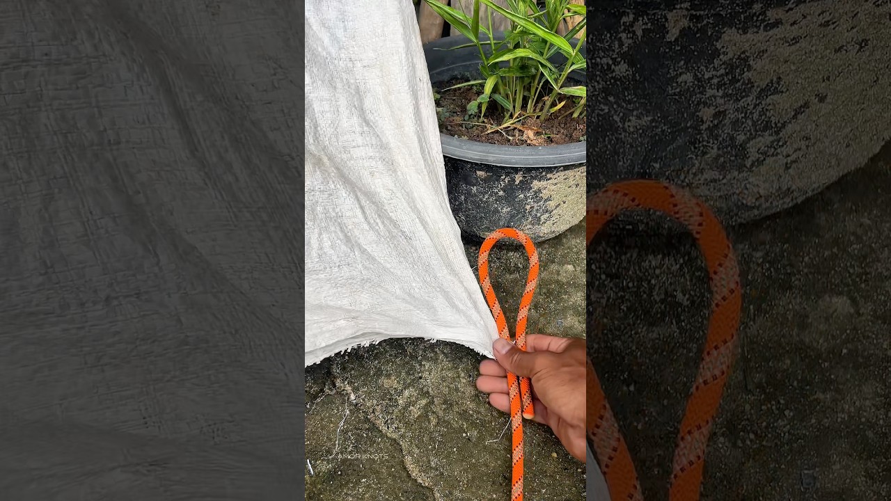 This Knot Will Be Useful #shortvideo #knot