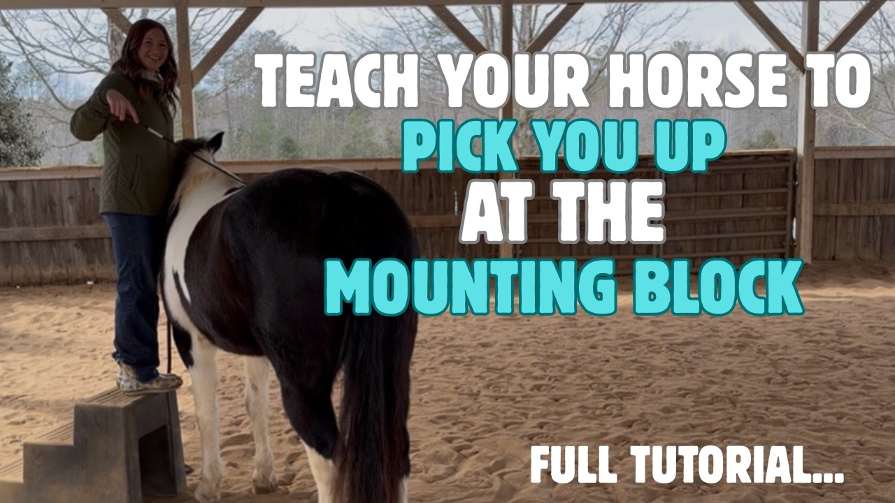 HOW TO TEACH YOUR HORSE TO PICK YOU UP AT THE MOUNTING BLOCK..