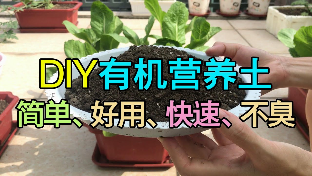 【家庭种菜】DIY 最简单有机肥之一（固体堆肥篇）|How to make organic fertilizer from kitchen waste?