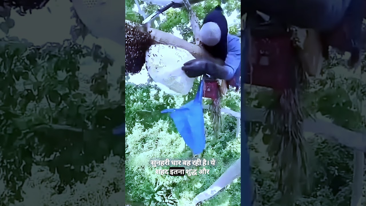 Wild Honey Extraction 😱~mini woodworking art skill / wood / handcrafts /