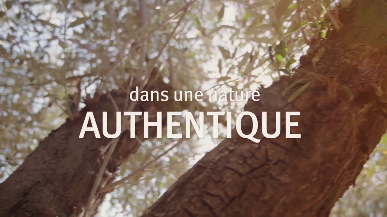 Le Petit Olivier - Simplement Nature