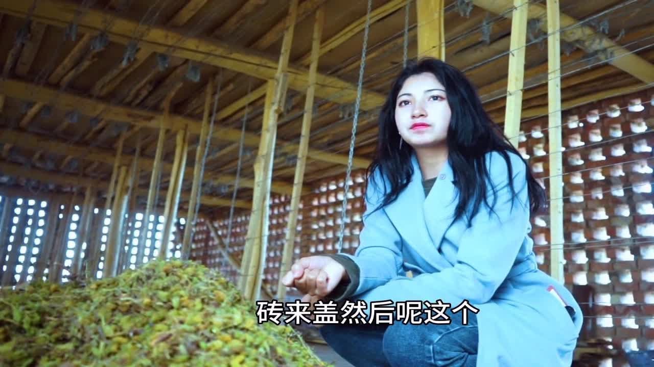 新疆农村葡萄干晾好了！维吾尔古丽收了一整仓，这价格你说贵吗？
