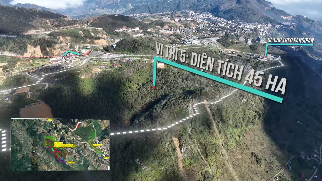 Vị trí 5