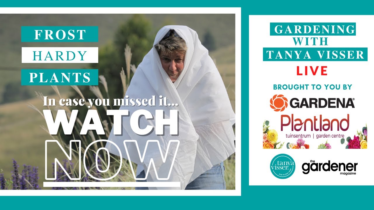 Frost Hardy Plants Masterclass with Tanya Visser