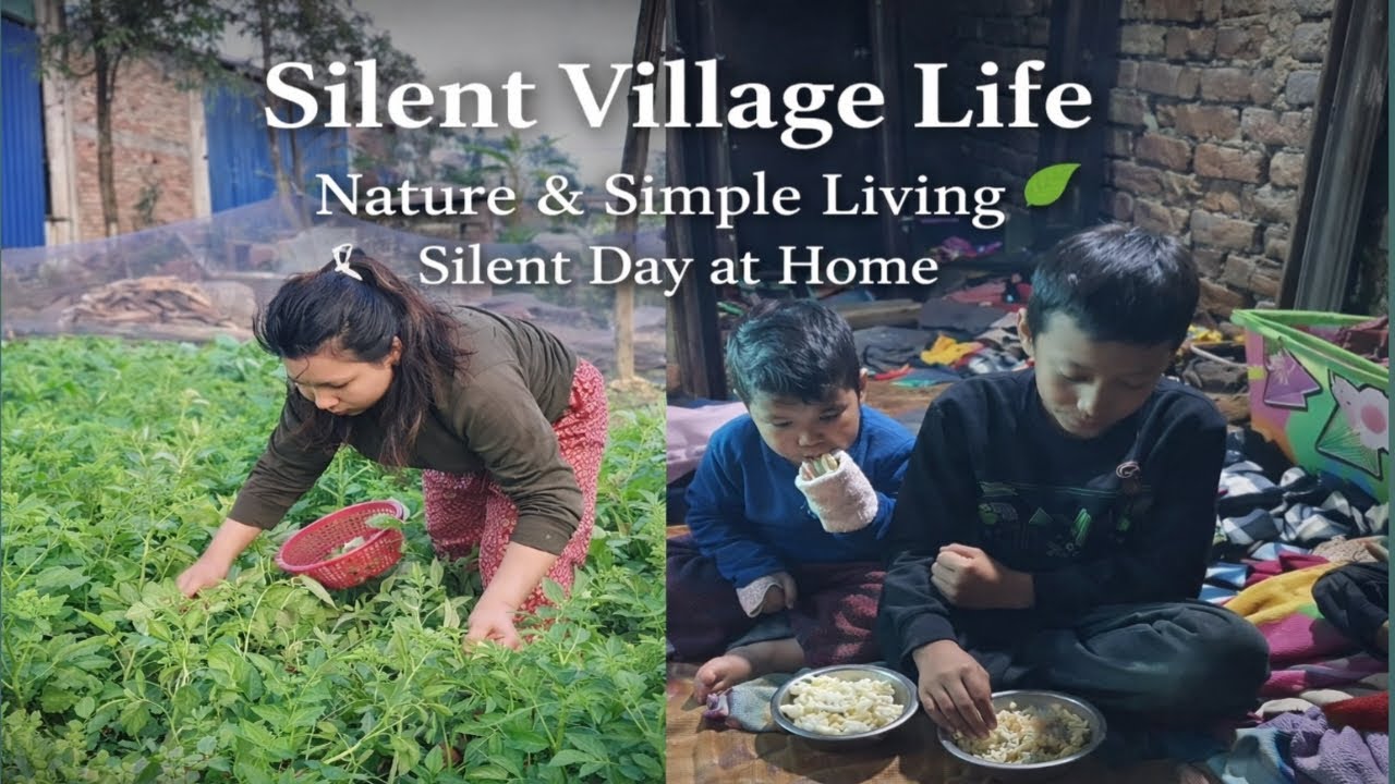 Silent Village Life | Nature & Simple Living | Village Life