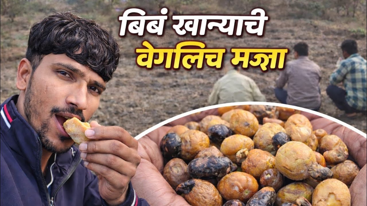 बिबं खान्याची वेगळीच मज्जा 😋 | Marathi Village Vlog