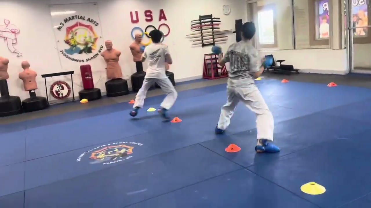 WKF Elite karate training