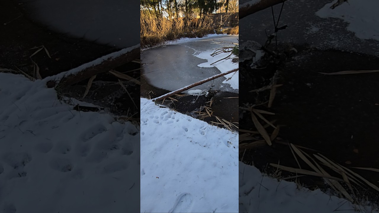 Graben Hechte angeln mit baitcaster Informationen 