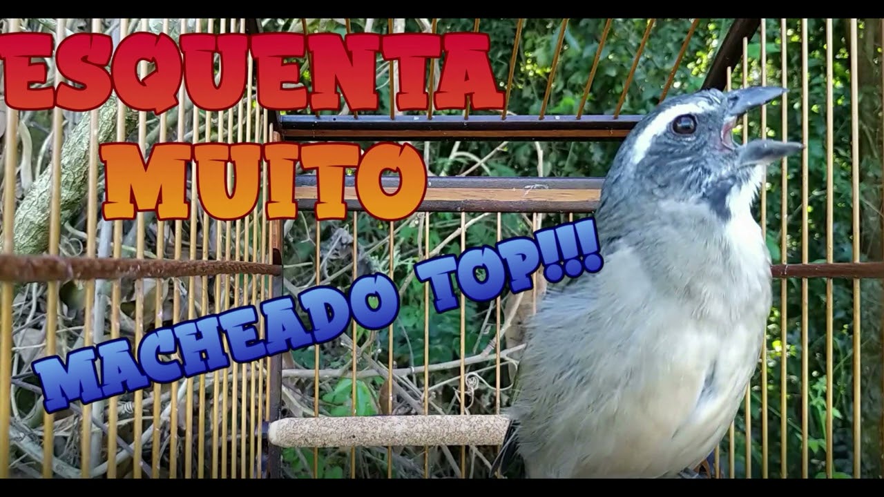 ESQUENTA TRINCA FERRO FRIO