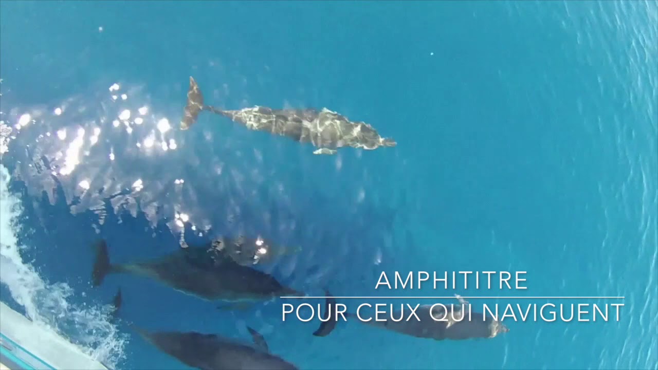 Trotamar III  - Amphitrite 43 - Henri Wauquiez
