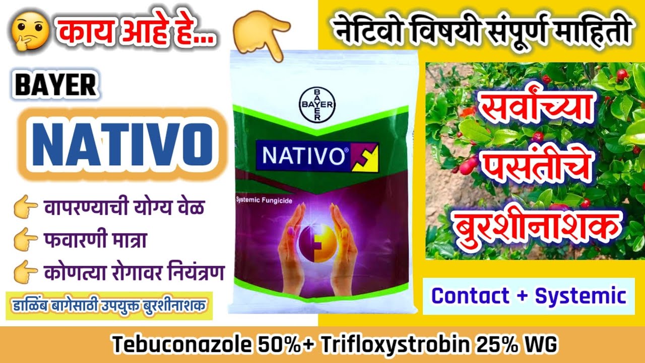 Nativo Fungicide || Nativo बुरशीनाशकाचे फायदे || फवारणी प्रमाण || Content || Price || Bayer
