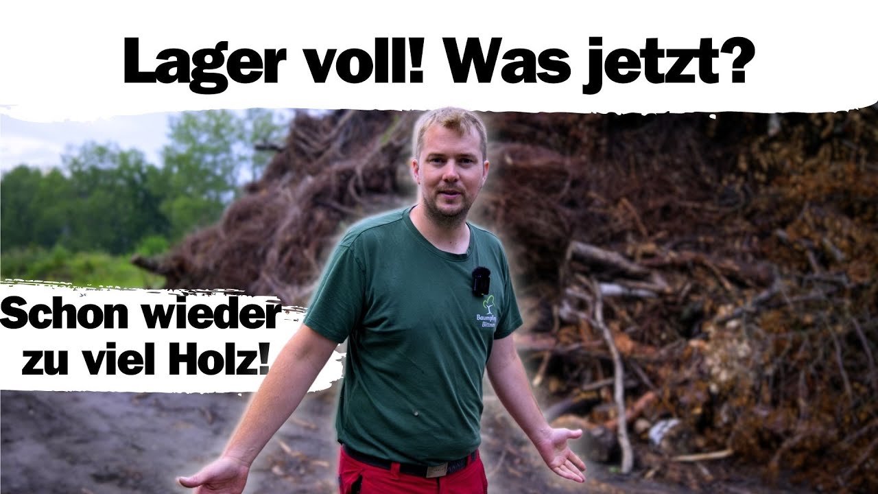 Hackschnitzel Überfluss! Unsere Strategien für nachhaltige Energiegewinnung 🚜🔋