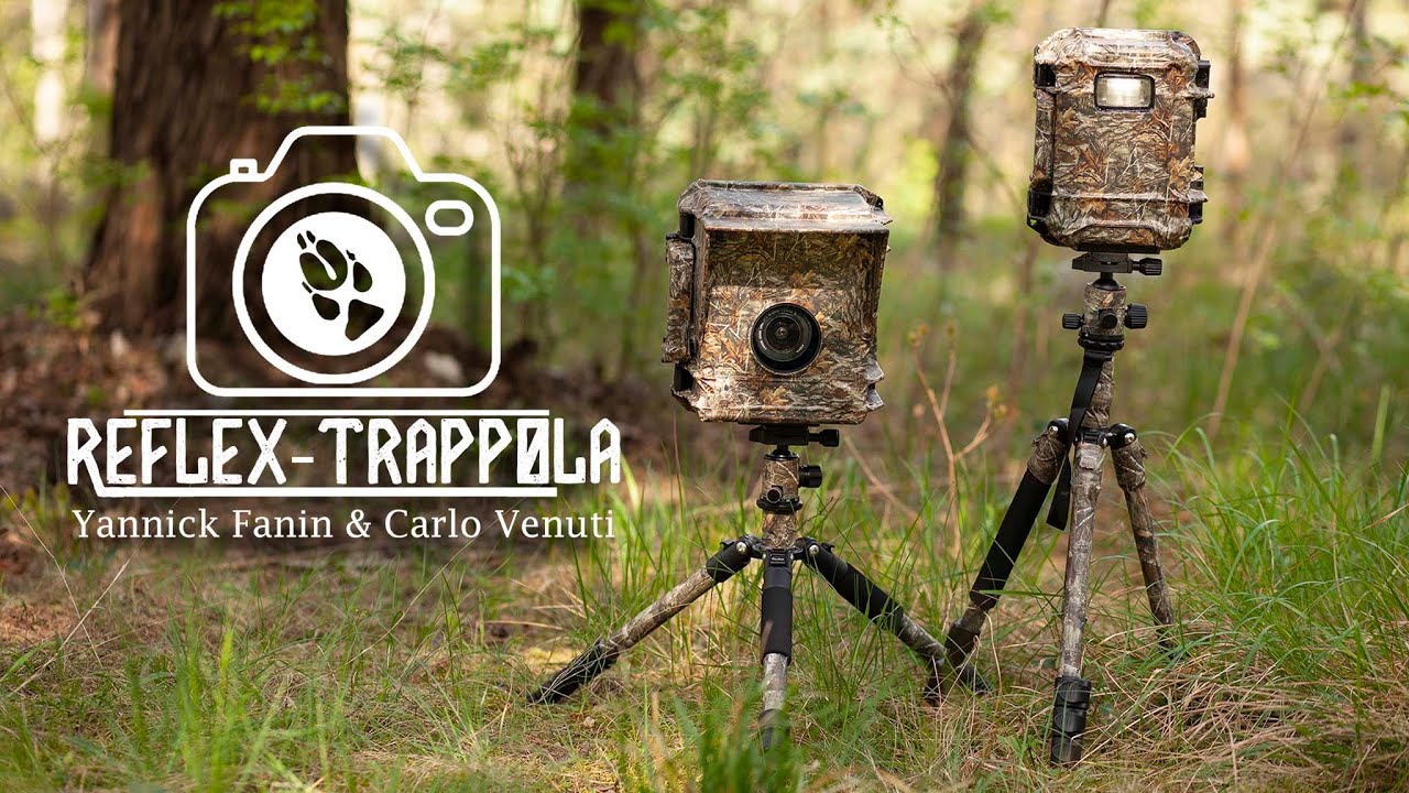 Fototrappola Reflex: come trasformare la tua vecchia DSLR in una fototrappola per animali selvatici