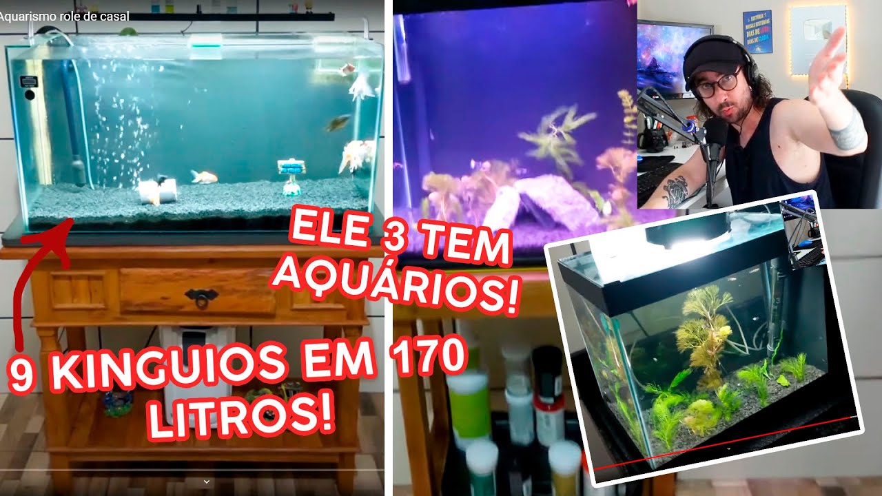 ELE TEM 3 AQUÁRIOS! DE KINGUIO A GUPPYS!