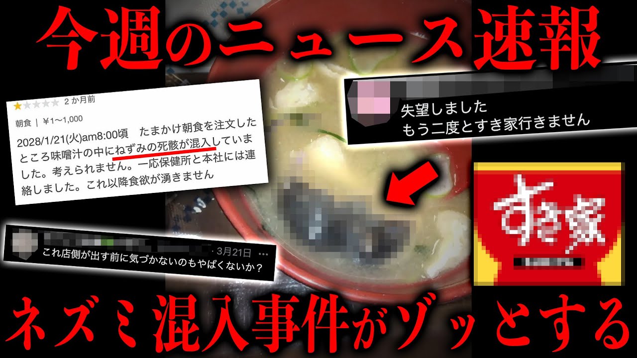 【閲覧注意】すき家のネズミ混入事件の真相がエグい・・・