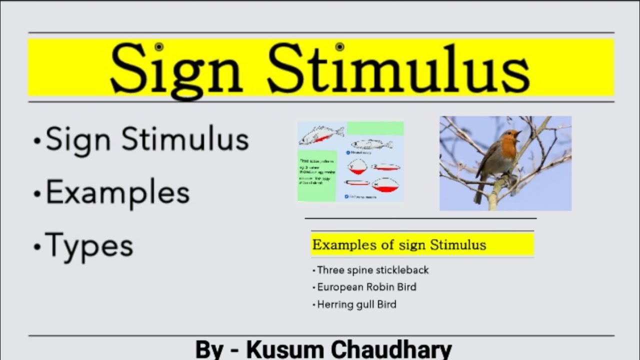 Sign Stimulus: Examples , Types , Notes | Ethology |MSc| Bsc | Kusum Chaudhary