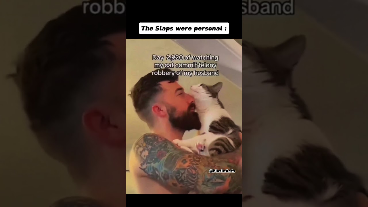 The Cat Said: &lsquo;She&rsquo;s not your girlfriend&hellip; she&rsquo;s OUR PROBLEM 😼💅 #funny #cat #catshorts