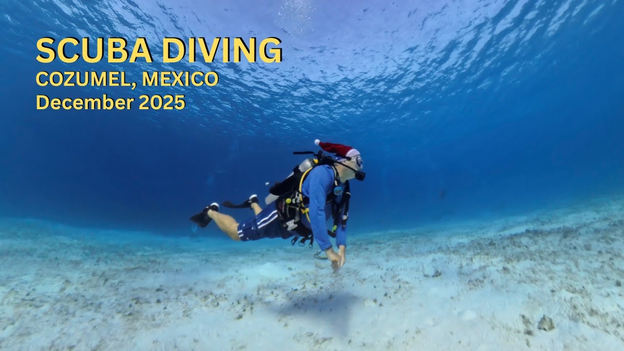 Cozumel Diving December 2025