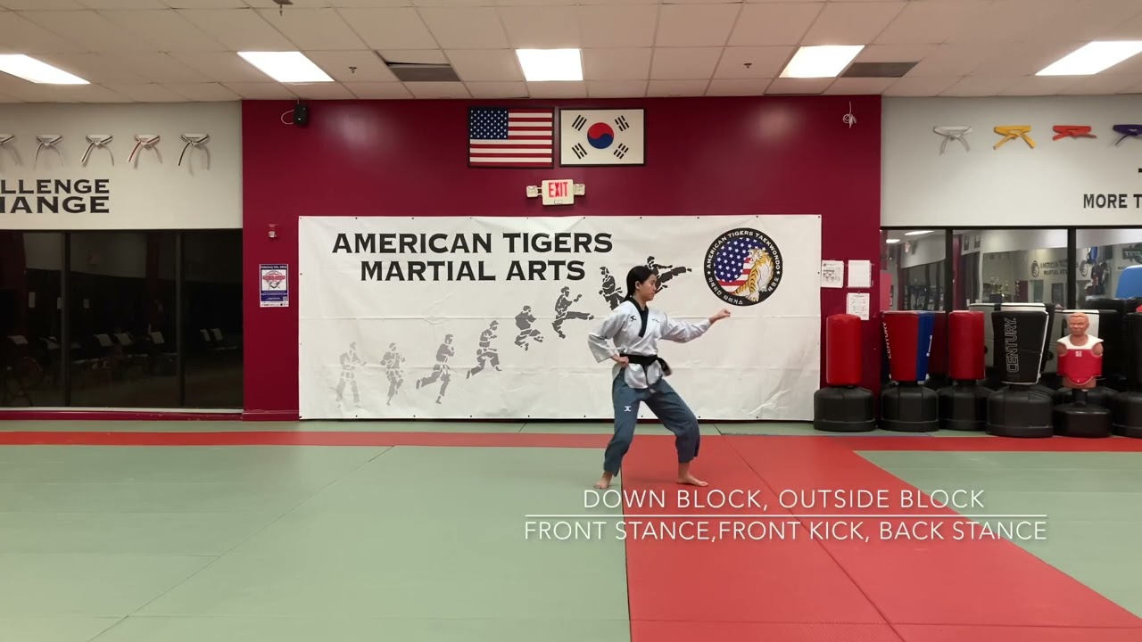 BROWN BELT PART 1/4 - FRONT & BACK VIEW WITH CAPTION