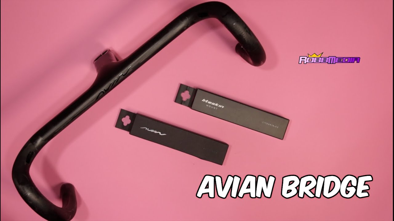 Avian Bridge (v2) $29 Light Weight Computer Mount | RobbArmstrong