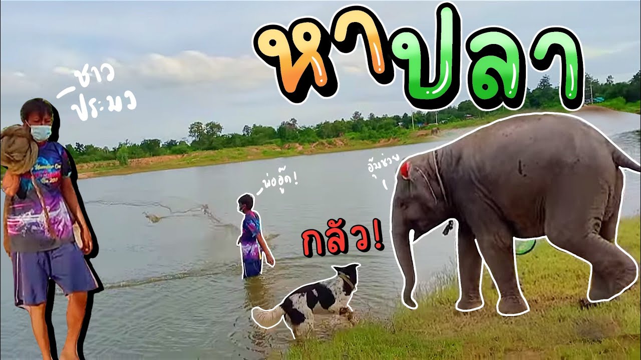 อุ้มบุญออกหาปลา กับพี่ป้าย‼️ เปิดโลกกว้างให้น้องอุ้ม พ่ออู๊ดหว่านแห มีตังตกใจ!!!