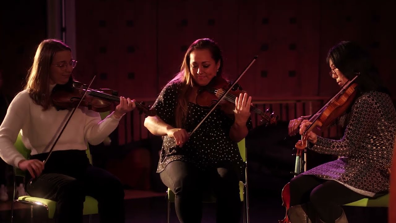 BA Irish Music - Irish World Academy