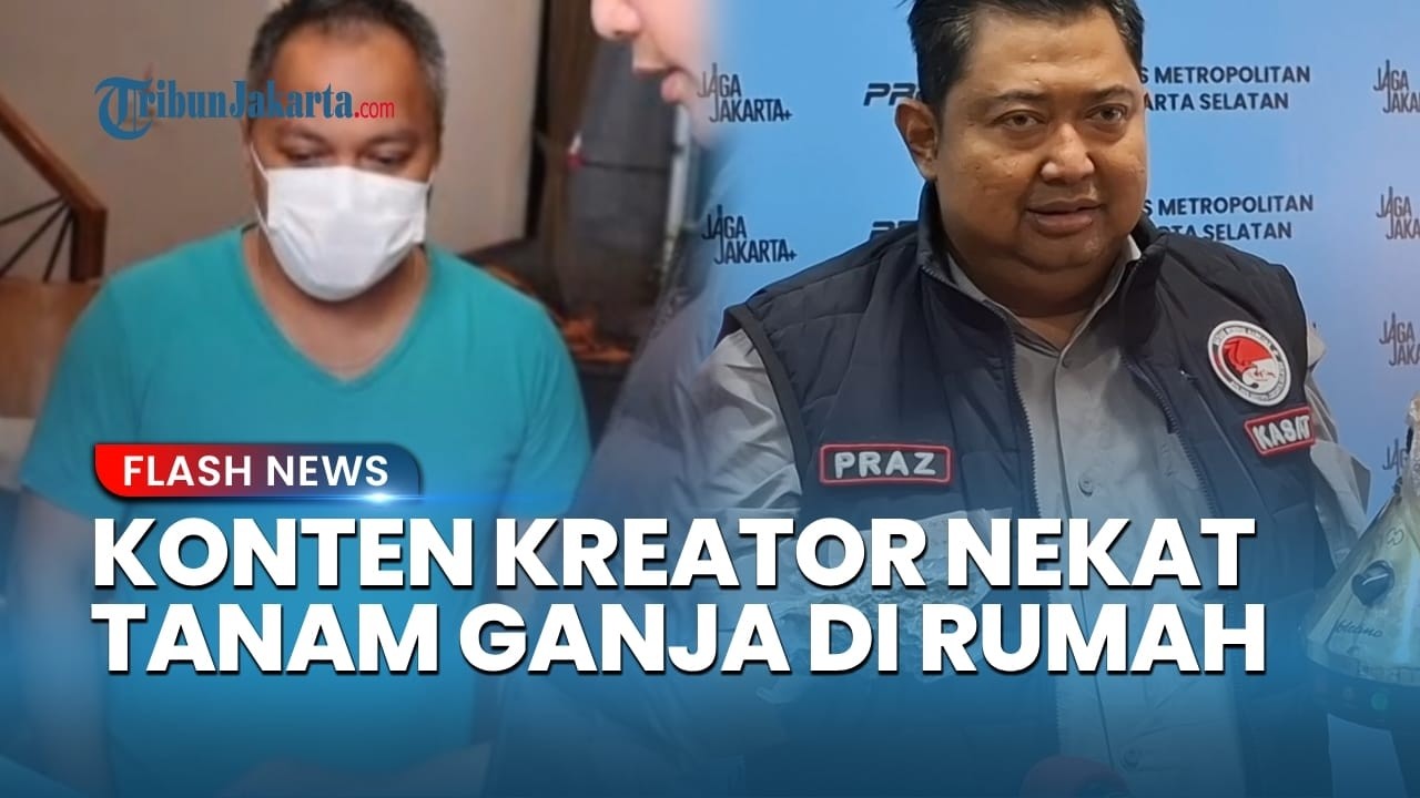 Terciduk Polisi, Konten Kreator Inisial AW Produksi Ganja di Rumahnya di Jagakarsa Jakarta Selatan