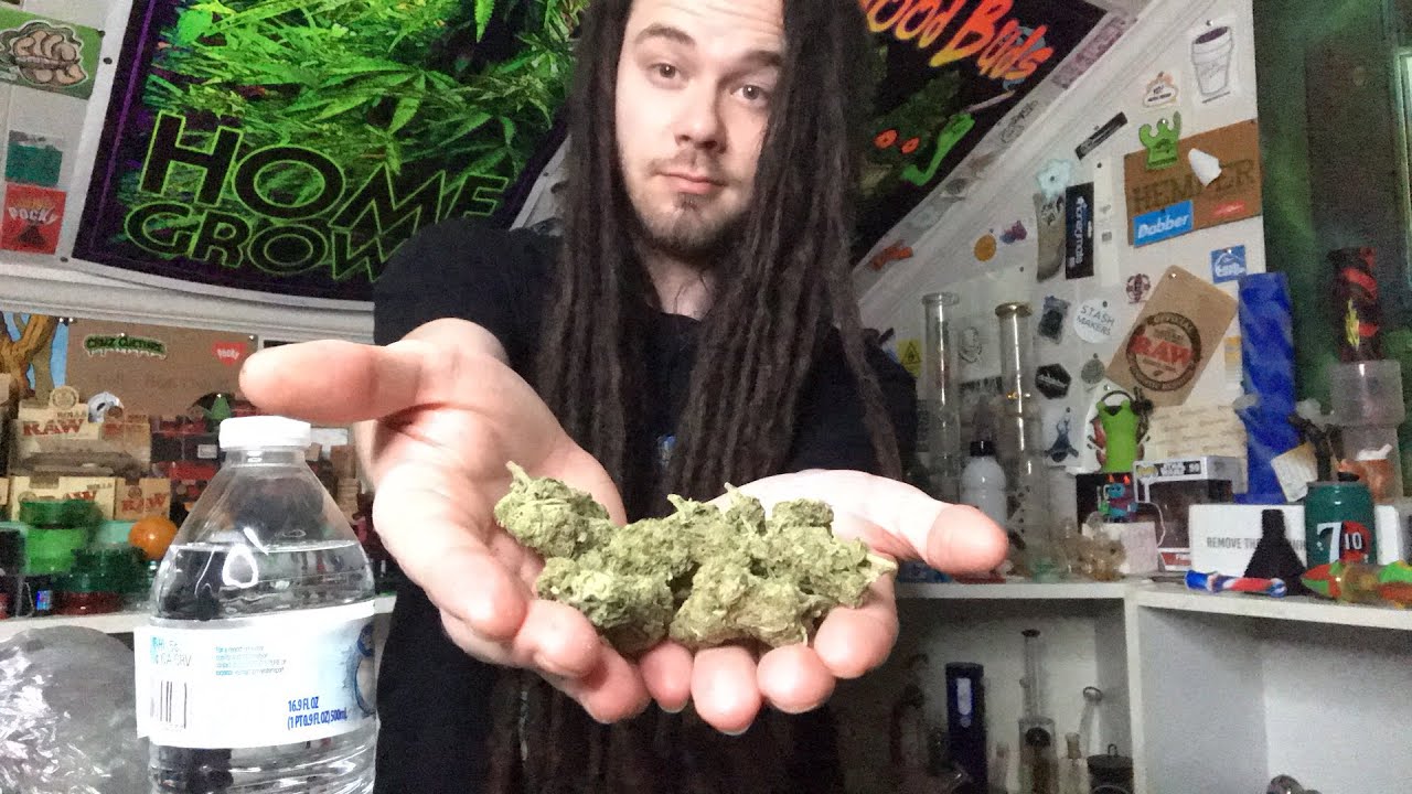 GREEN CRACK IN MY BLUNT