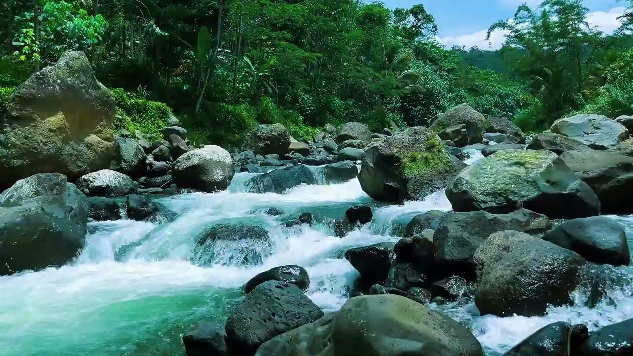 Gentle Jungle River Flow for Sleep and Meditation | Relaxing Nature Water Sounds for Insomnia Relief