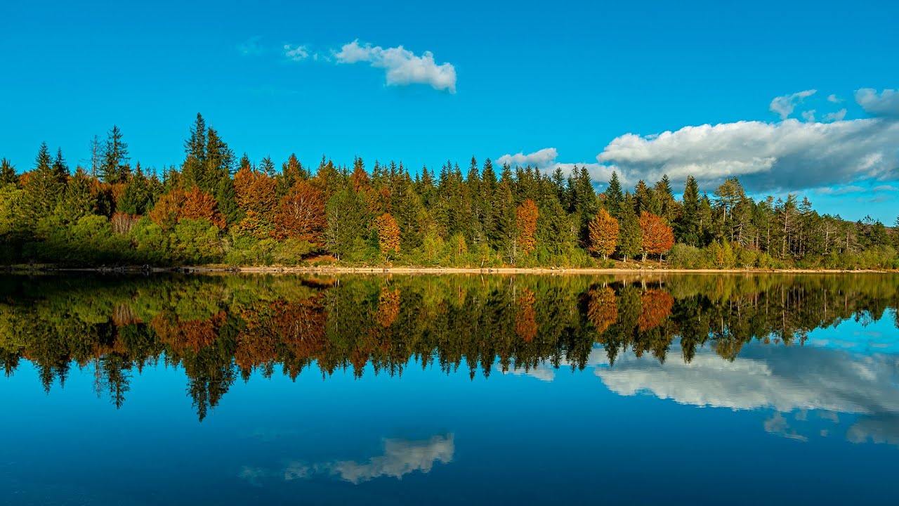 Eclats d'une nuit d'automne