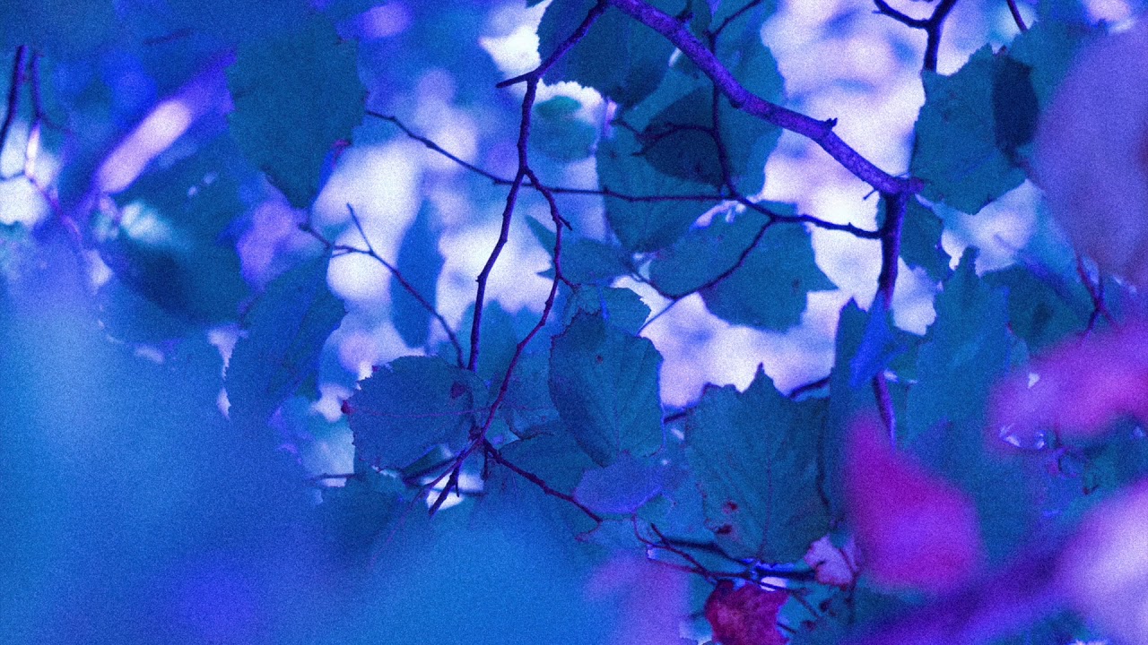 Spring In A Small Town - Compassion