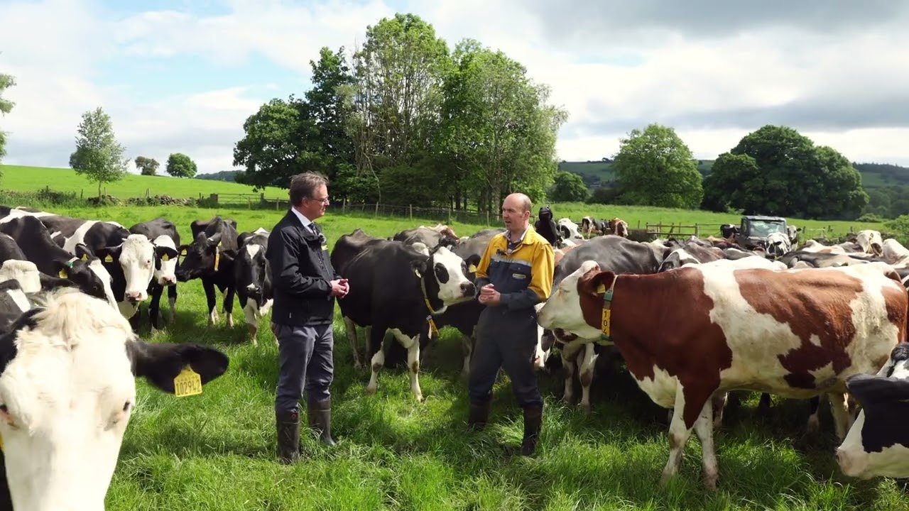 Planet Dairy - Be part of the climate solution