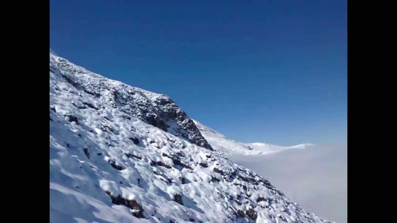 Σ΄ΑΚΡΟΧΙΟΝΙΑ ΚΥΝΗΓΟΥΝΑ-ΡΙΖΙΤΙΚΟ