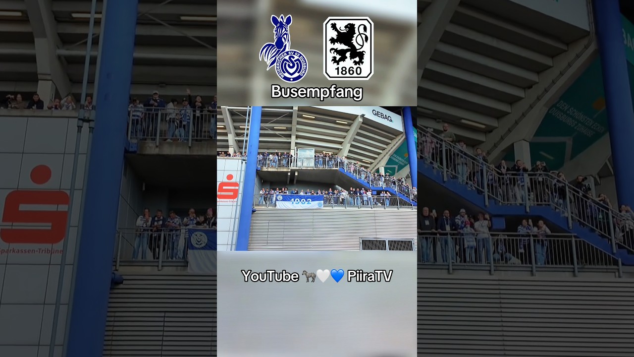 Busempfang 🦓🤍💙 MSV Duisburg vs 1860 M&uuml;nchen
