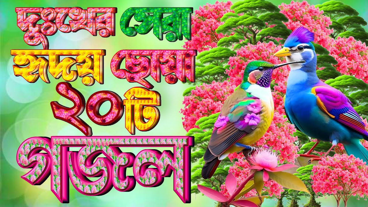 Selected 20 Gojol |Best New Gazal |সকলের পছন্দের ২০টি বাছাই করা গজল |Bangla Gazal |Islamic Top Gazal