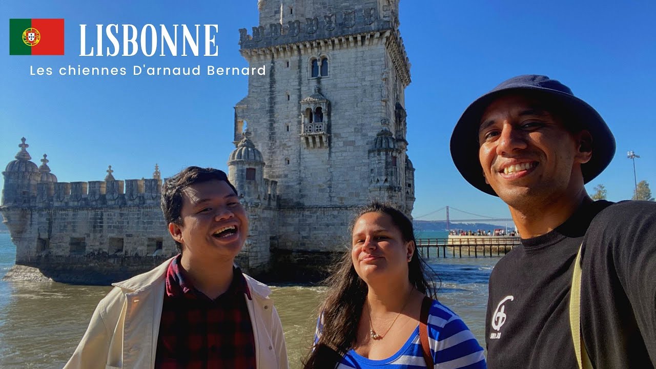 LES CHIENNES D'ARNAUD BERNARD À LISBONNE 