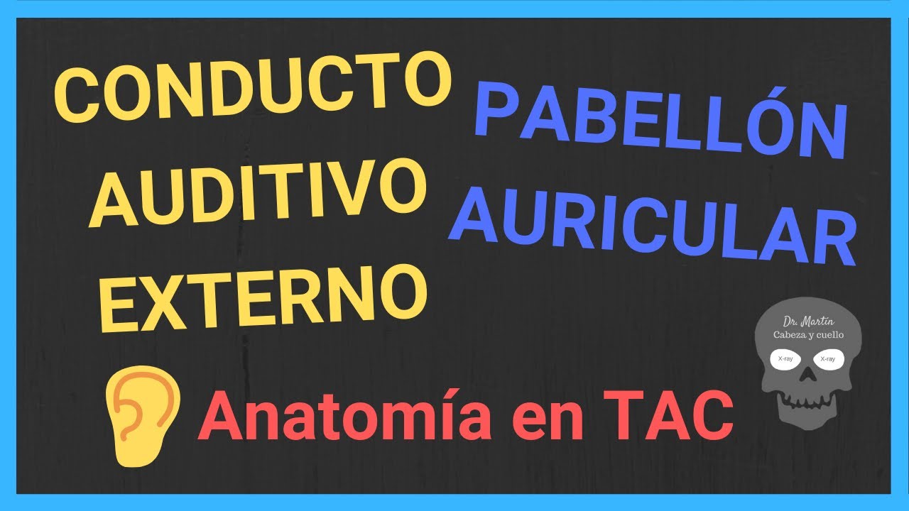 👂 O&Iacute;DO EXTERNO 1: anatom&iacute;a (TAC) del CONDUCTO AUDITIVO EXTERNO y PABELL&Oacute;N AURICULAR