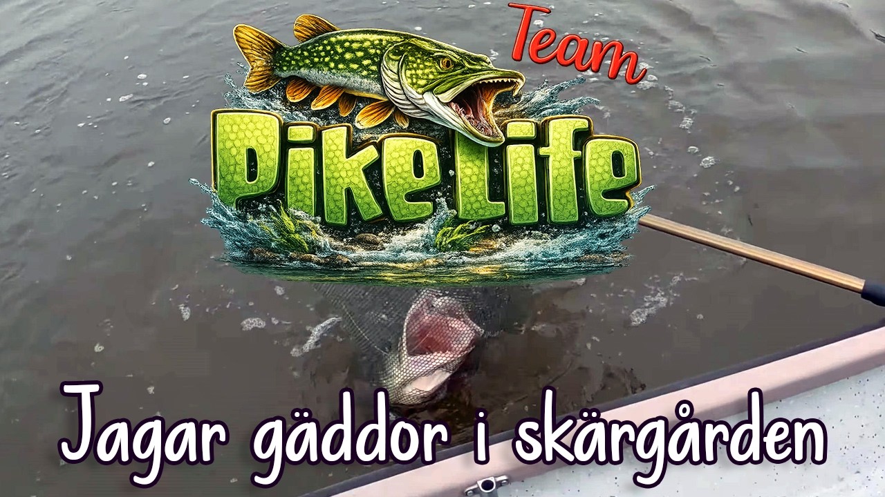 Team PikeLife jagar gäddor i skärgården