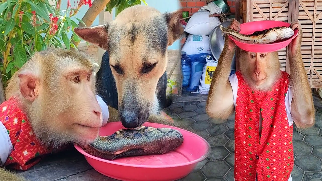 Are You Delicious ! SokYaa Bring Food For Phao At Home
