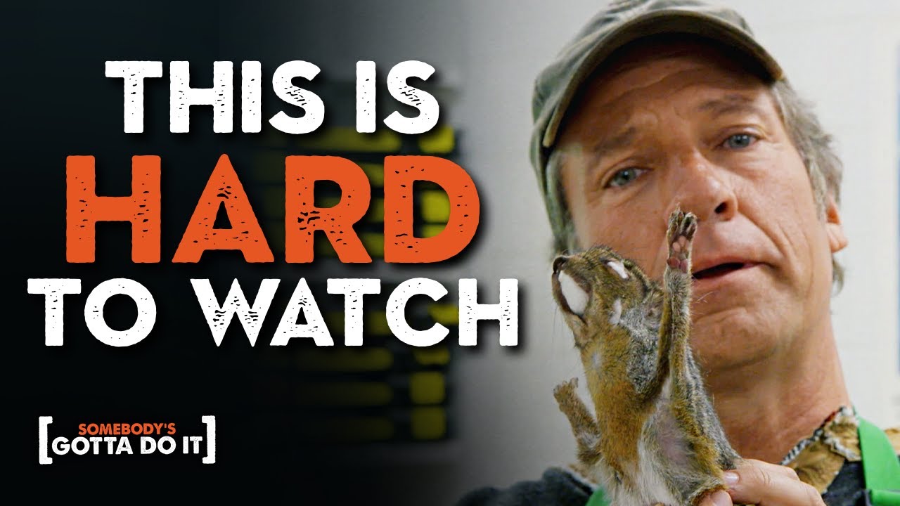 Mike Rowe Goes Behind the Scenes of Animal Exhibits | Mammal Prep | Somebody's Gotta Do It
