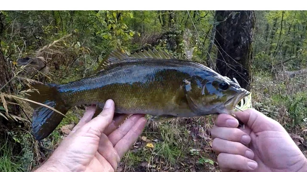 Mountain River Bass Fishing   upper hiwassee River, tennessee