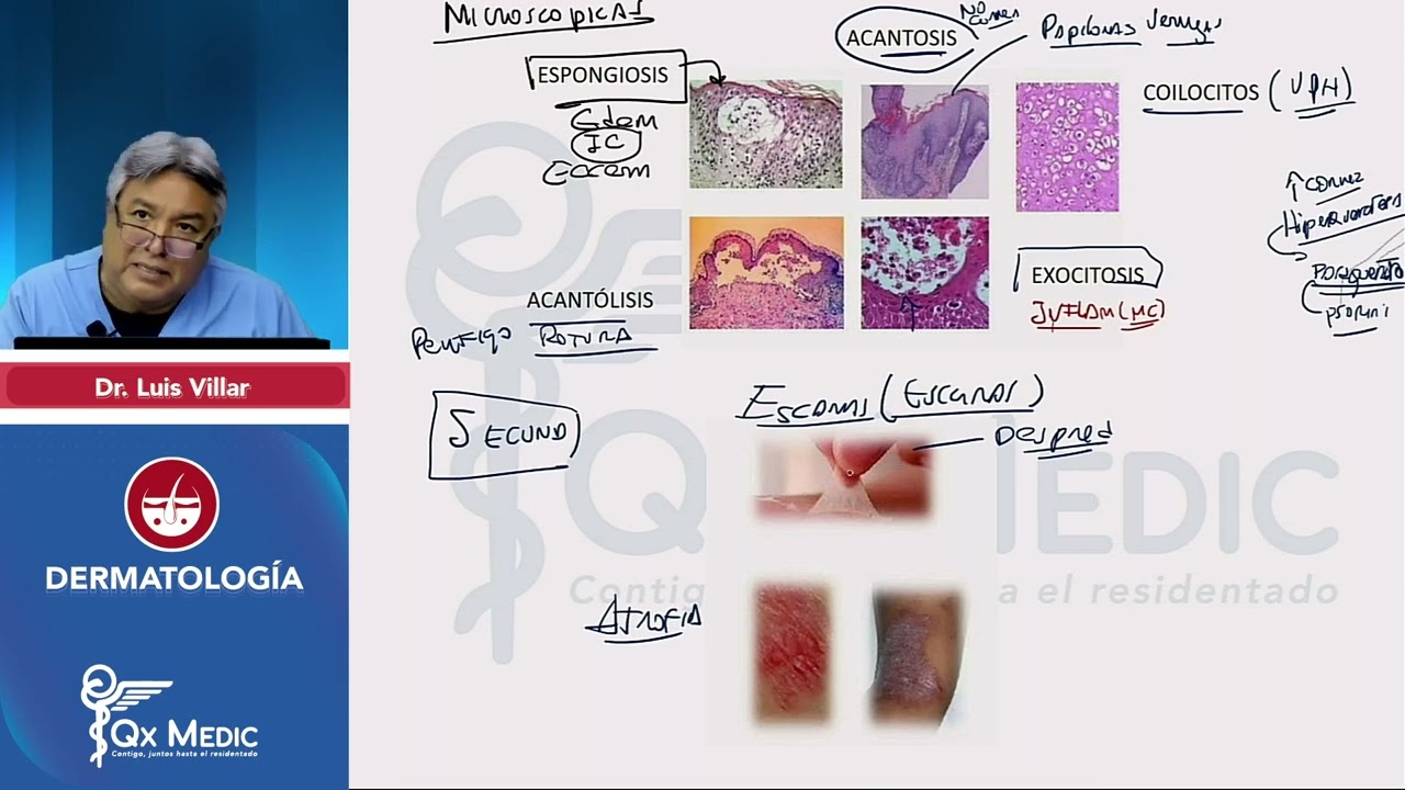 RM24   Dermatologa   Resumen integral