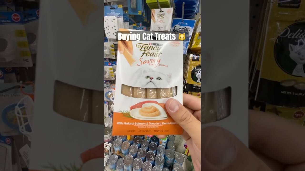 Buying Cat Treats 🐱