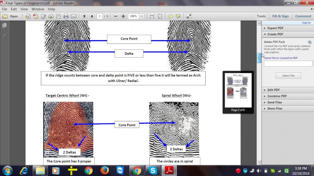 Types of fingerprints and ridge count for DMIT - Mind Tech International